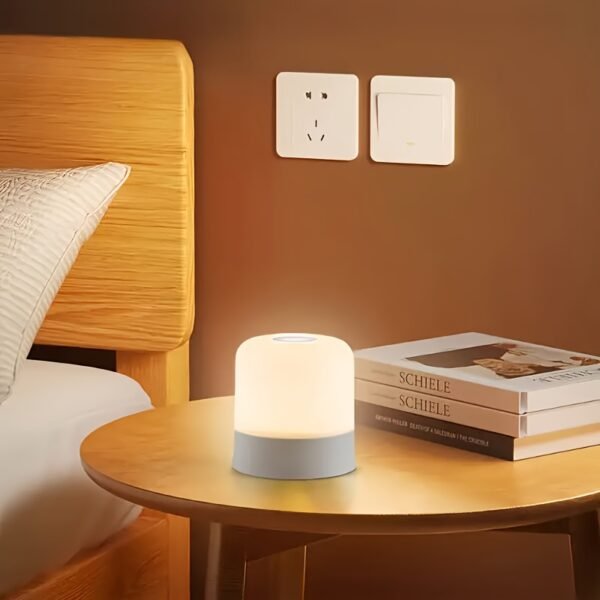 1 Touch-activated Bedside Lamp LED Desk Lamp