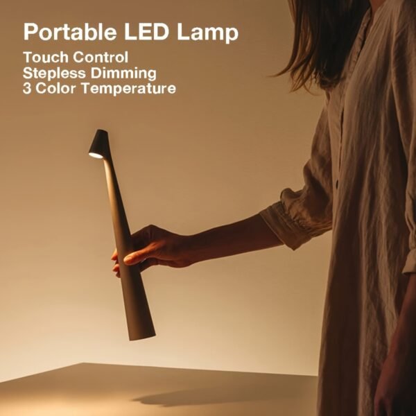 Portable LED Table Lamp